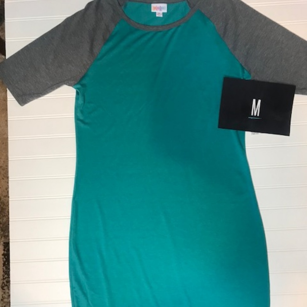 LuLaRoe Medium Julia dress! Solid
